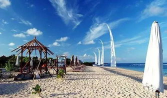 創(chuàng)道旅游團(tuán)隊(duì)招募旅游代理 探索事業(yè)新機(jī)遇